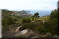 P8212000.JPG