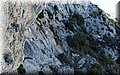 P8282170.JPG