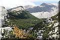 P9012335.JPG