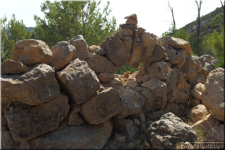 PA020746.JPG