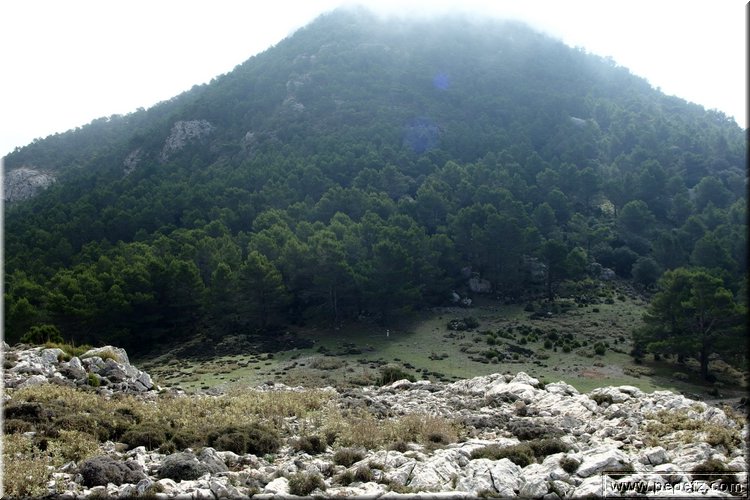 PA060784.JPG