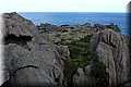 PA130234.JPG