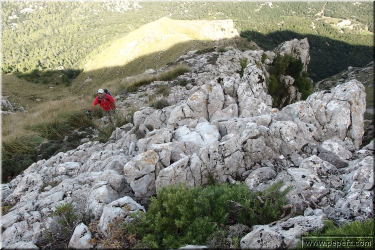PA160302.JPG