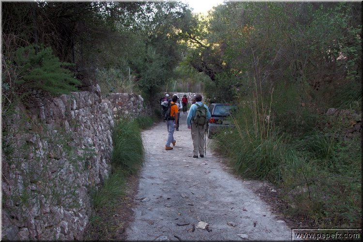PA230505.JPG