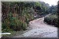 PB060913.JPG