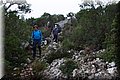 PC041490.JPG