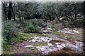 PC041506.JPG