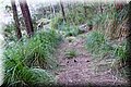 PC111678.JPG