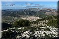 PC111696.JPG