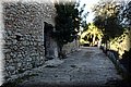 PC111719.JPG