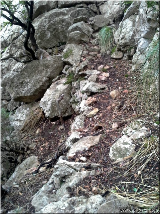 20141215_105510.jpg