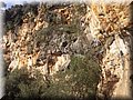 20141215_120321.jpg