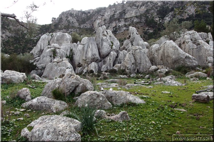 P2020104.JPG
