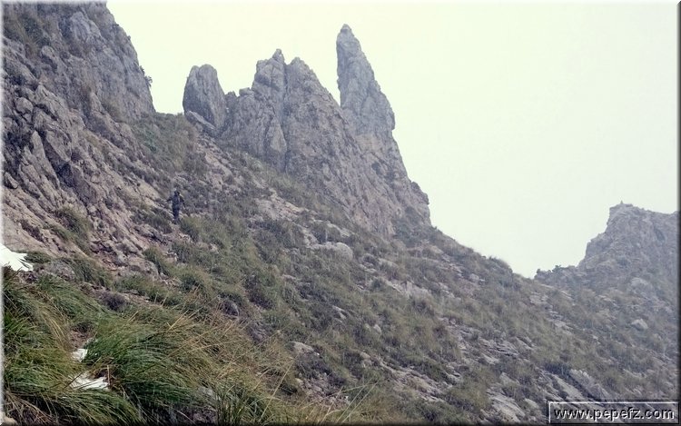 DSC_0033.JPG