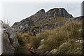 P3161387.JPG