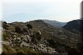 P3161392.JPG
