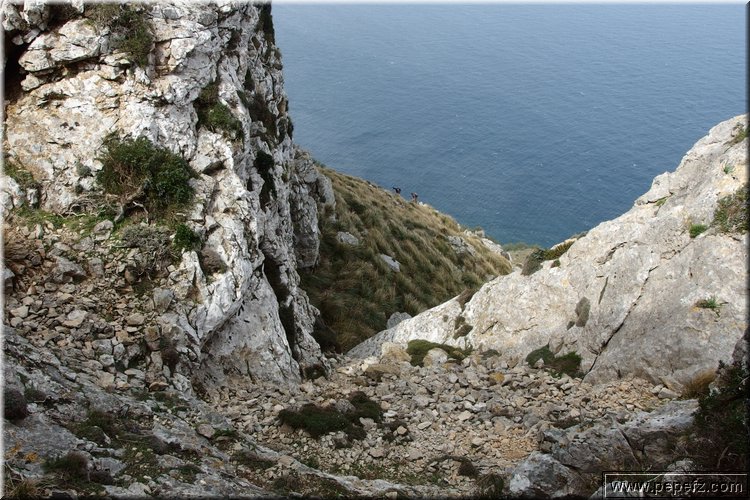 P3191452.JPG