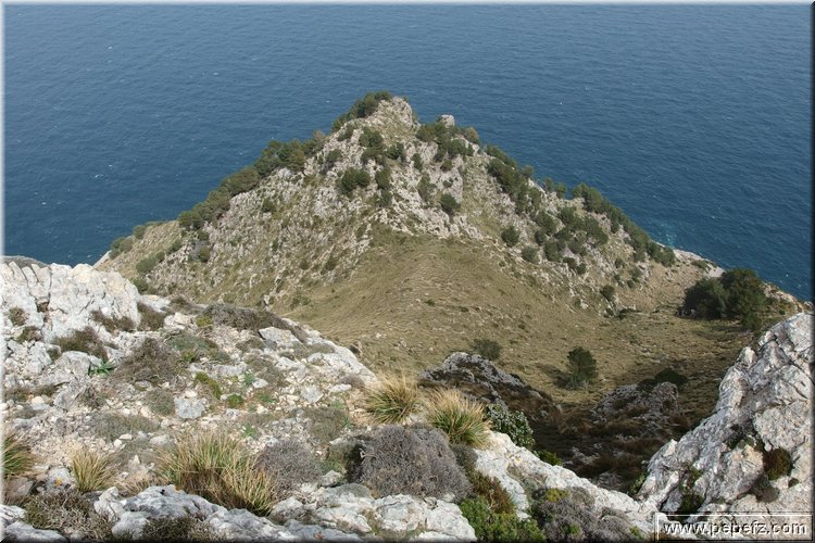P3191455.JPG
