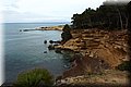P3231529.JPG