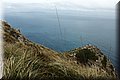 P3231590.JPG