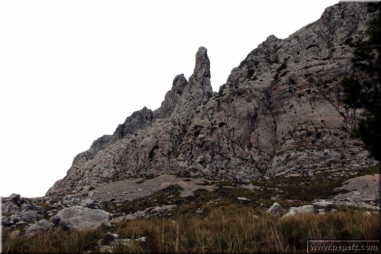 P3301865.JPG