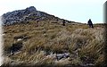 P3302020.JPG
