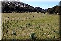 P4092161.JPG