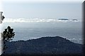 P4132205.JPG