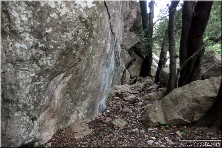 P4162294.JPG