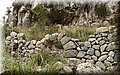 P4162281.JPG