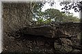 P4162293.JPG