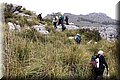 P4162310.JPG
