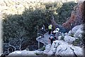 P4202511.JPG