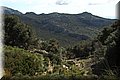 P4202543.JPG