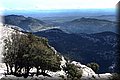 P4202559.JPG