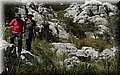P4202567.JPG