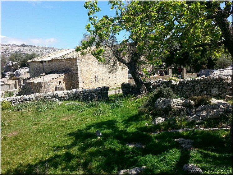 IMG-WA0076.jpg
