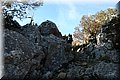 P4212628.JPG