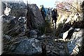 P4212630.JPG