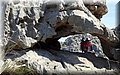 DSC04216.jpg