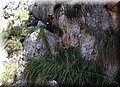 DSC04230.jpg