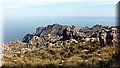 P4232663.JPG