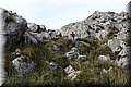 P4232679.JPG