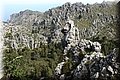 P4232683.JPG