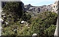 P4232700.JPG