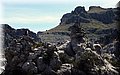 P4232710.JPG