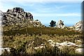 P4232759.JPG