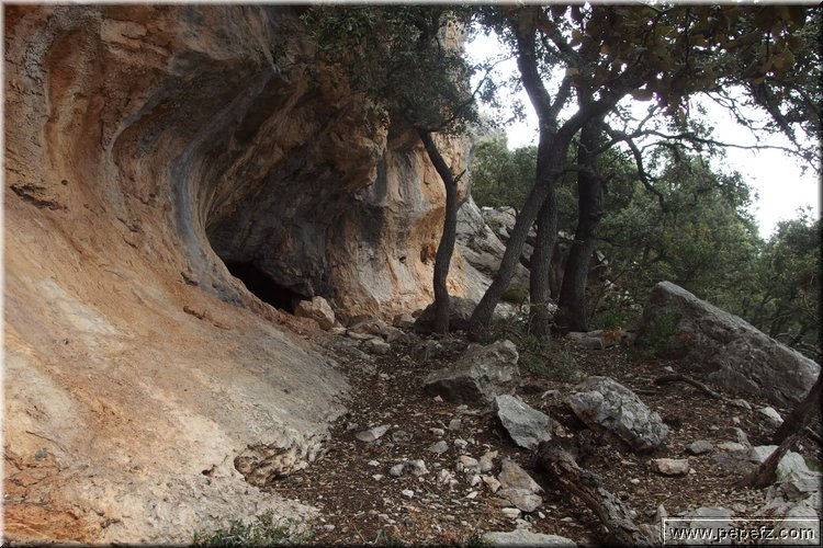 P4272926.JPG