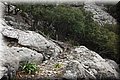 P4272912.JPG