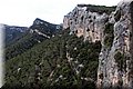 P4272930.JPG